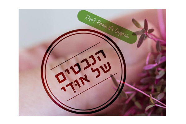 הנבטים של אודי